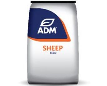 Departments Adm Lamb Creep Med 21 50